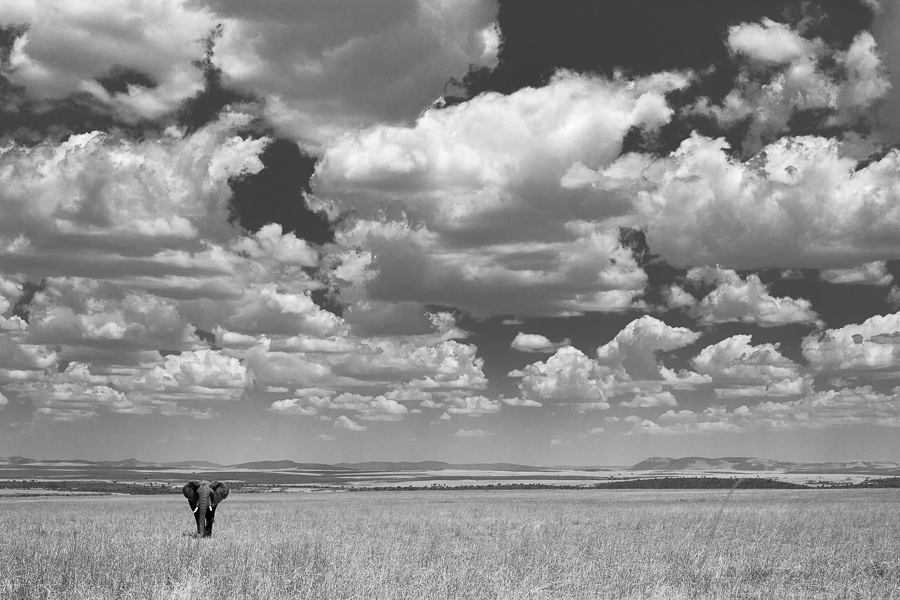 I Wandered As A Lonely Cloud