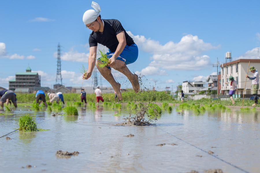 The Levitation Rice Planting