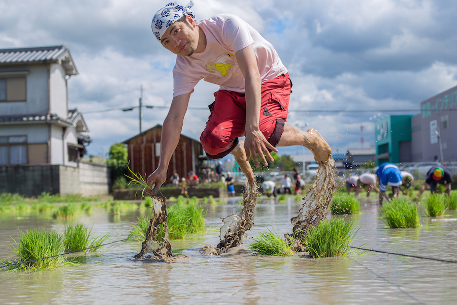 The Levitation Rice Planting
