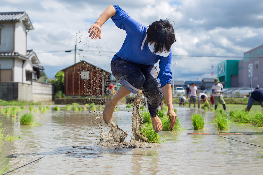The Levitation Rice Planting