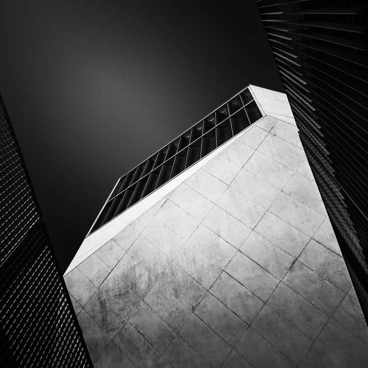 Casa da Musica Study