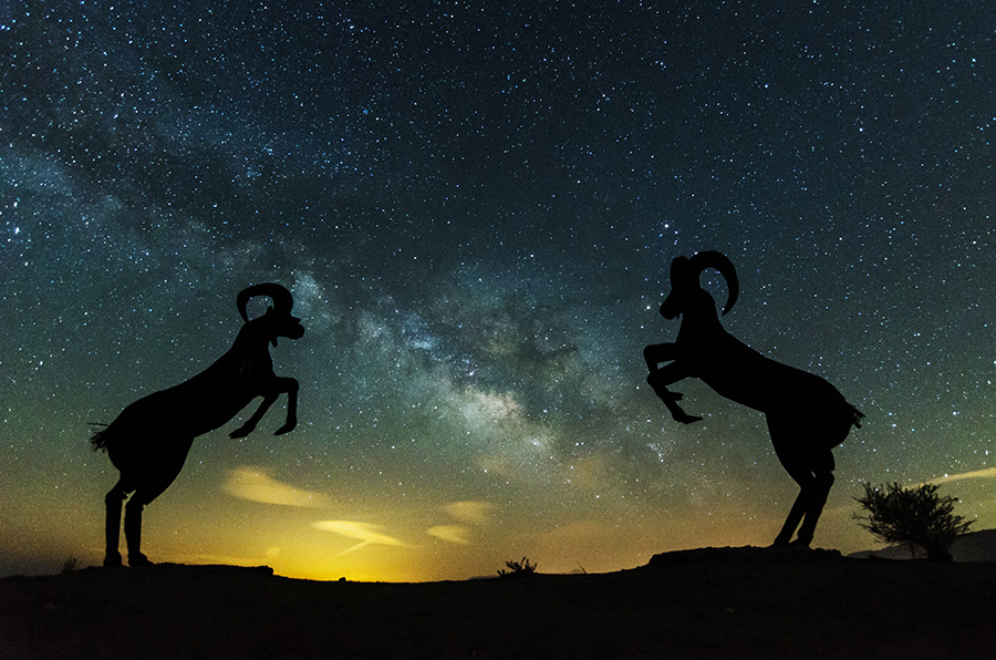 Glorious Nights