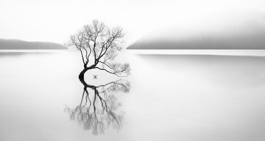 Serenity