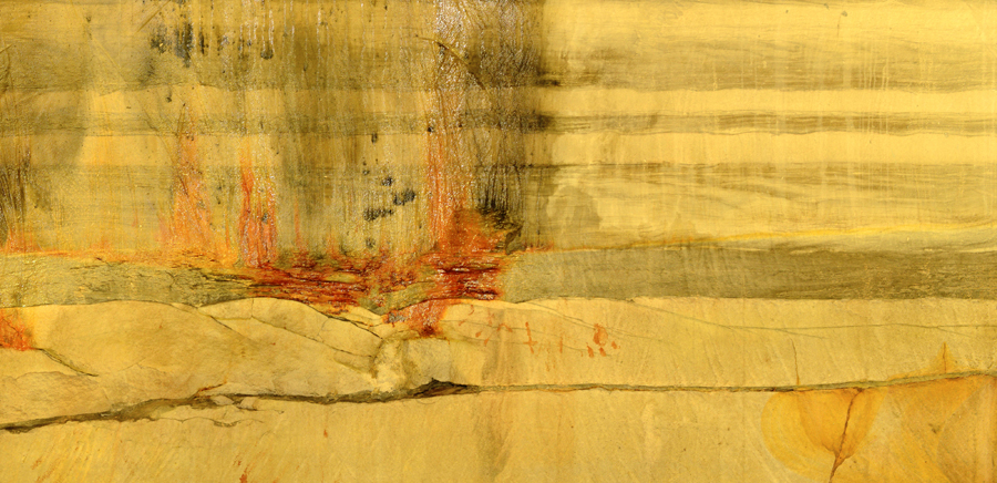 Organic Landscapes