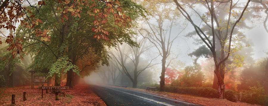 Autumn