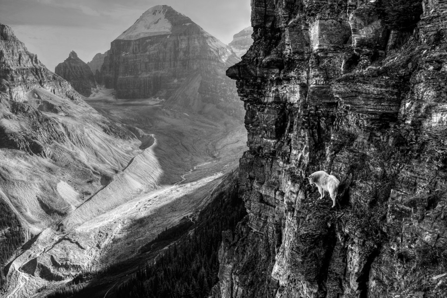 Cliff Walker