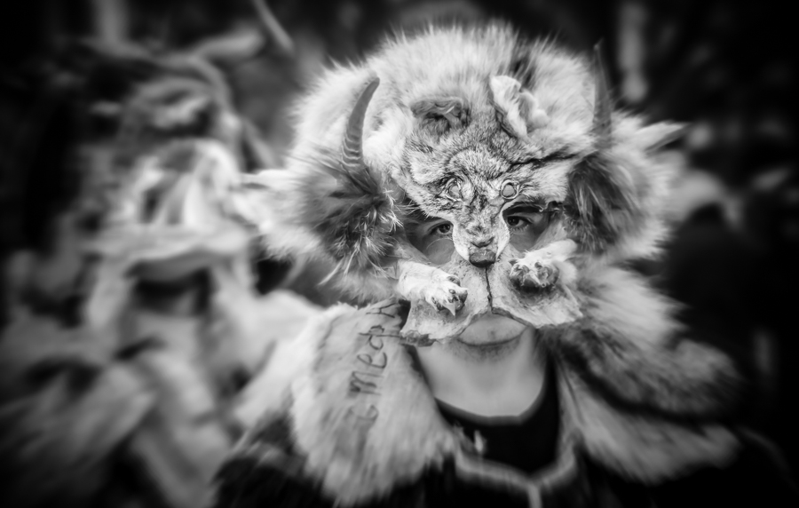 The festival Surva