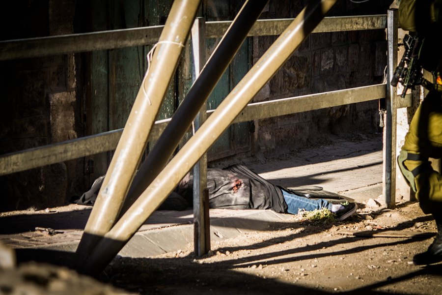 The killing of Hadeel al-Hashlamoun