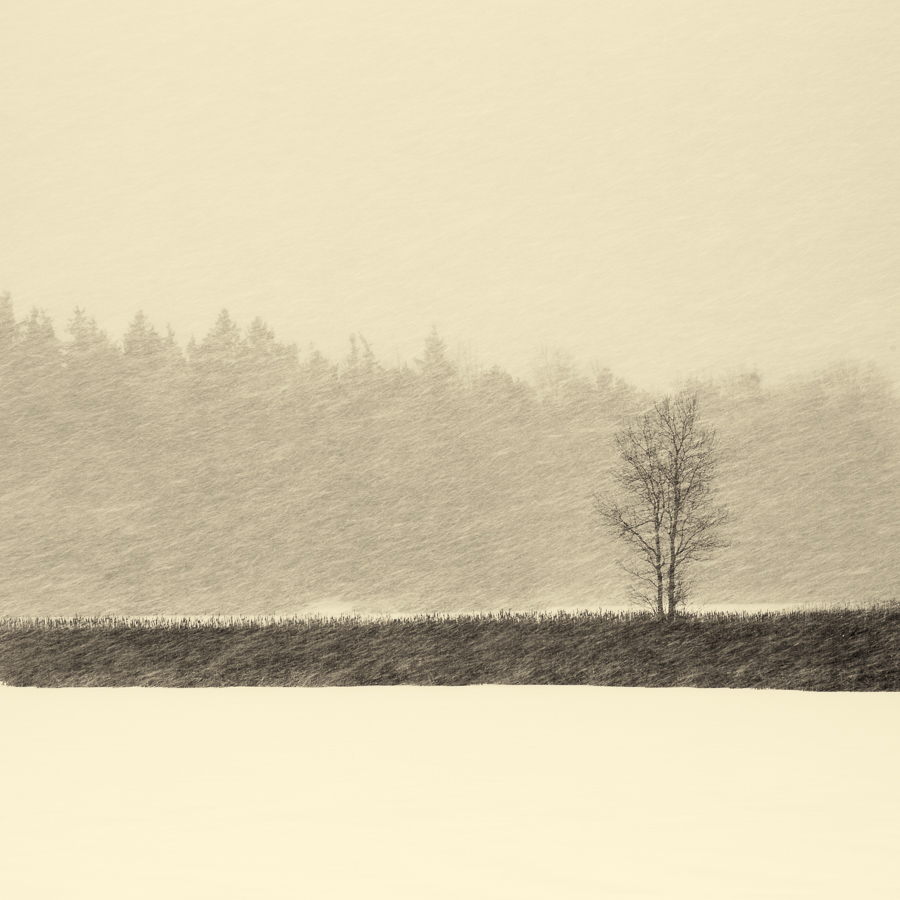 Tranquility