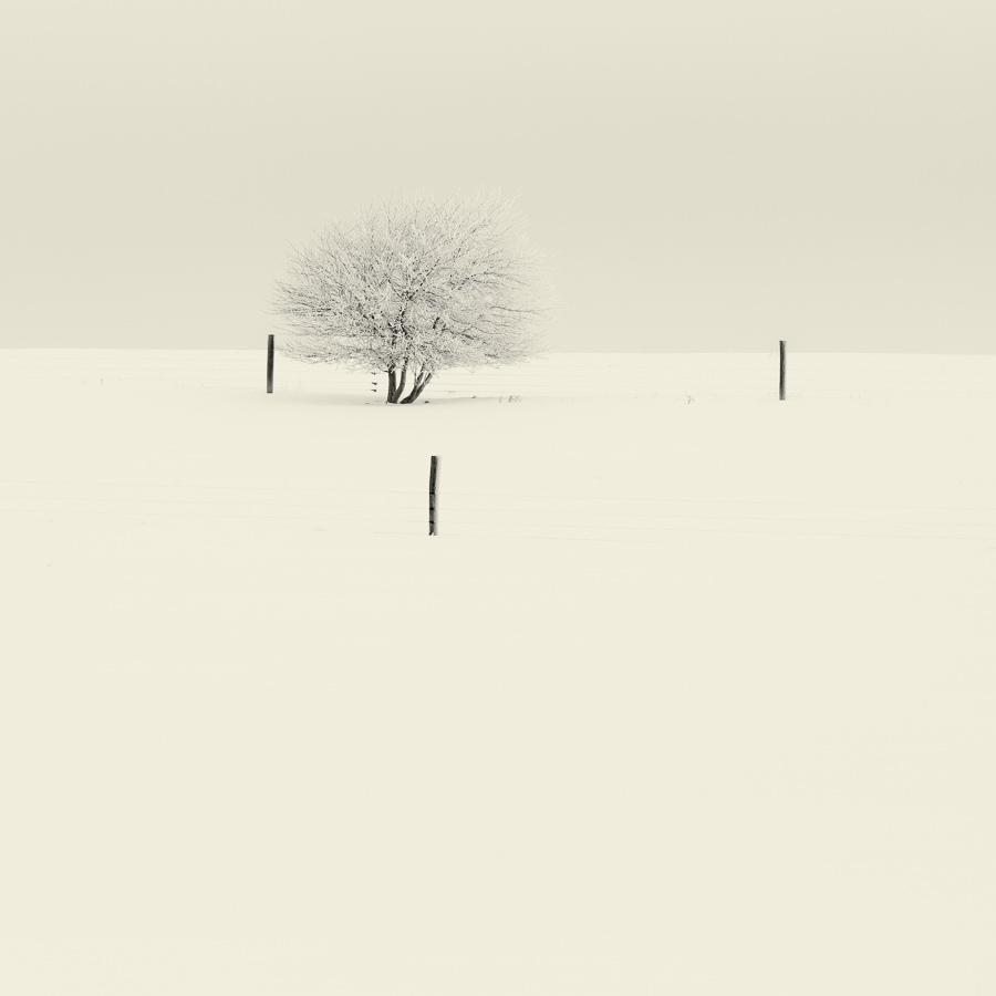 Tranquility