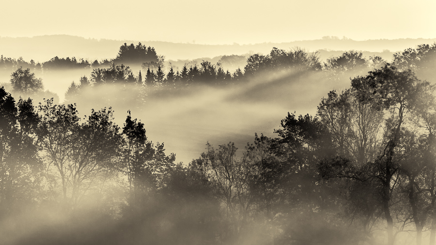 Tranquility