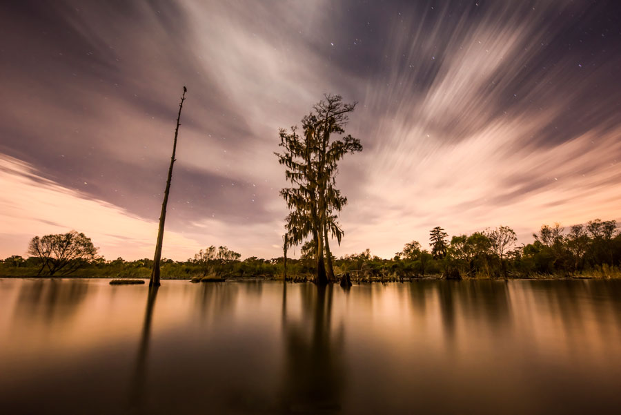 Cypress Moon