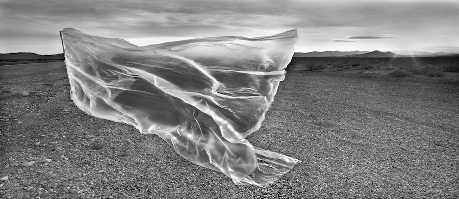 Plastic Landscapes