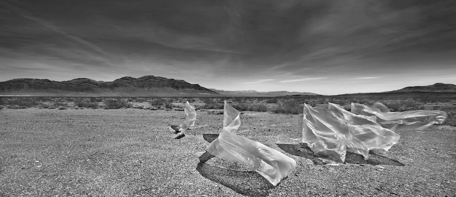 Plastic Landscapes