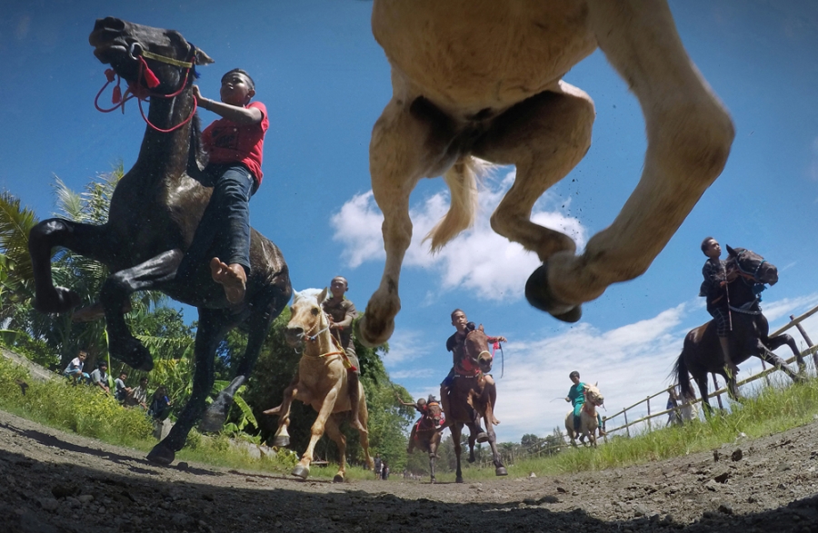 Traditional Race in Lombok