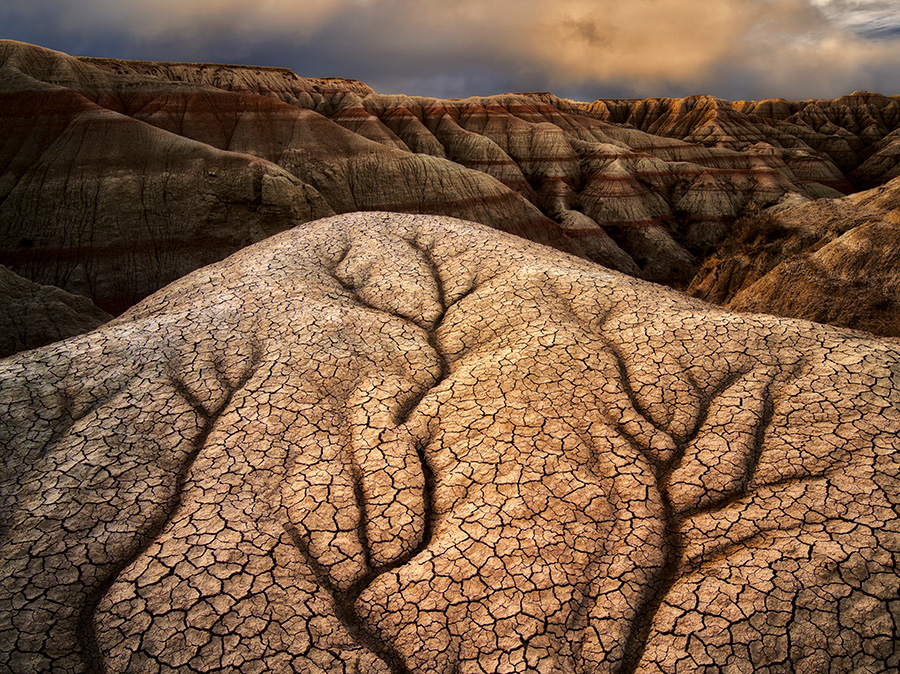 Erosions Beauty