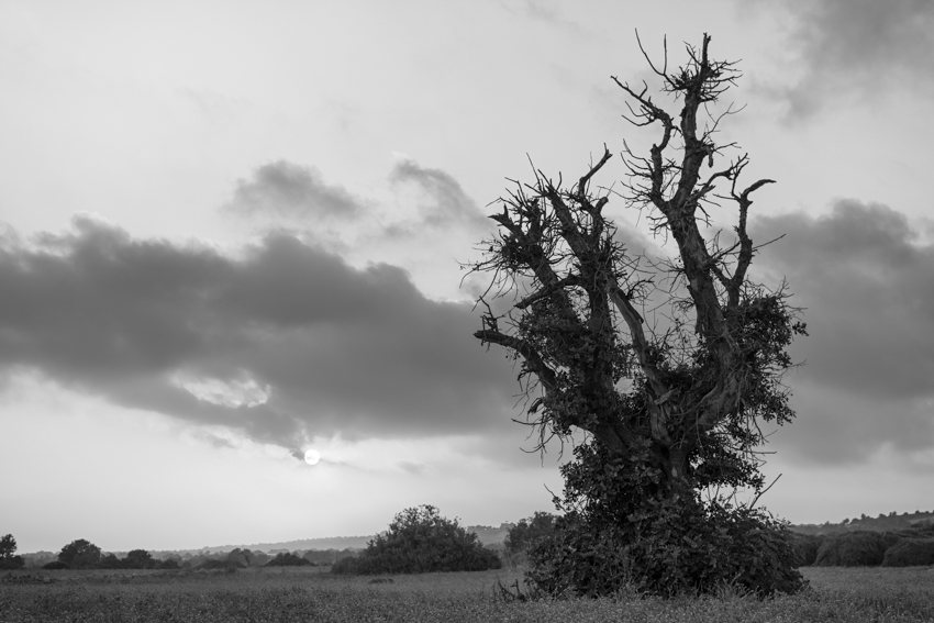 This is your Cyprus: The small scale beauty of the vast and unexpected