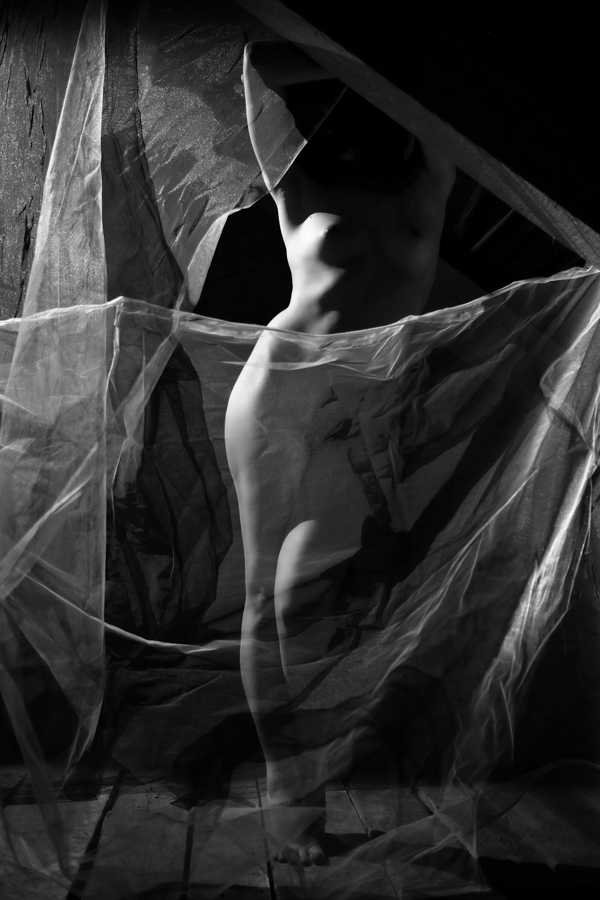 Tangled 