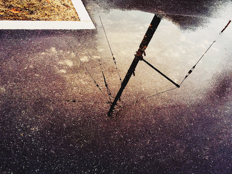 Surface and Consciousness