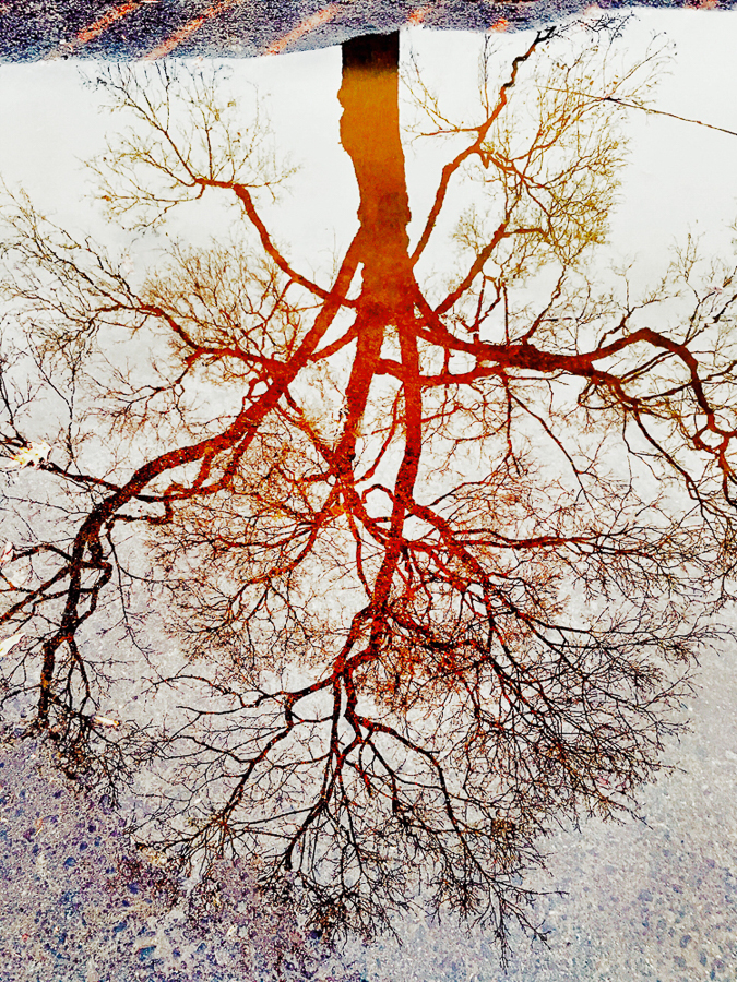 Surface and Consciousness