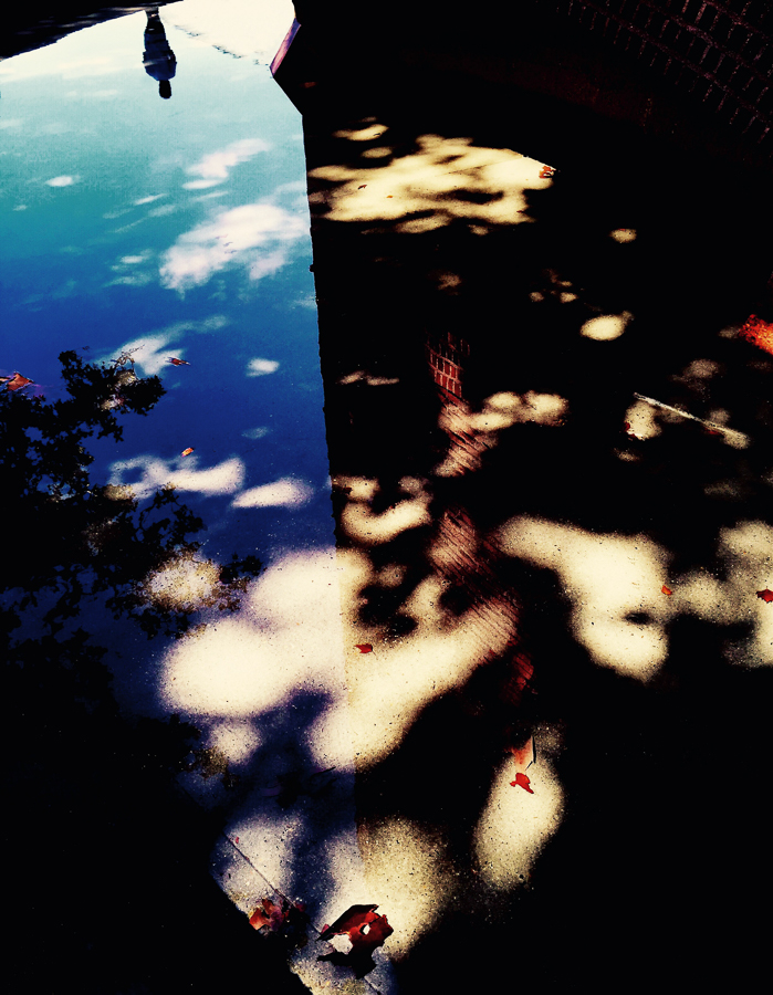 From Afar