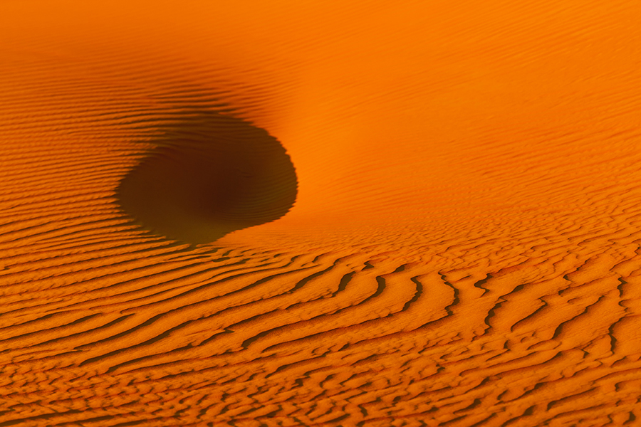 Desert Treasures