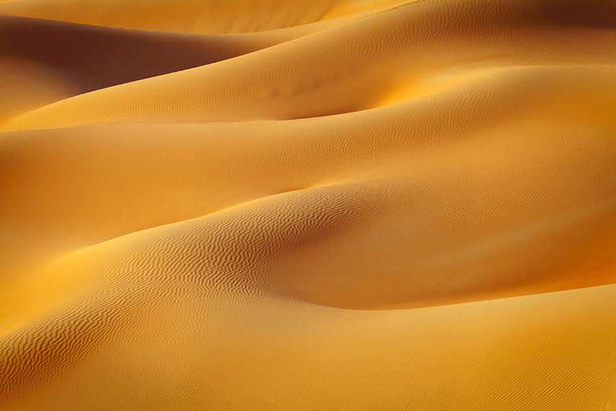 Desert Treasures