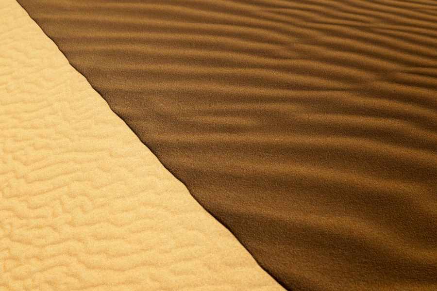 Desert Treasures