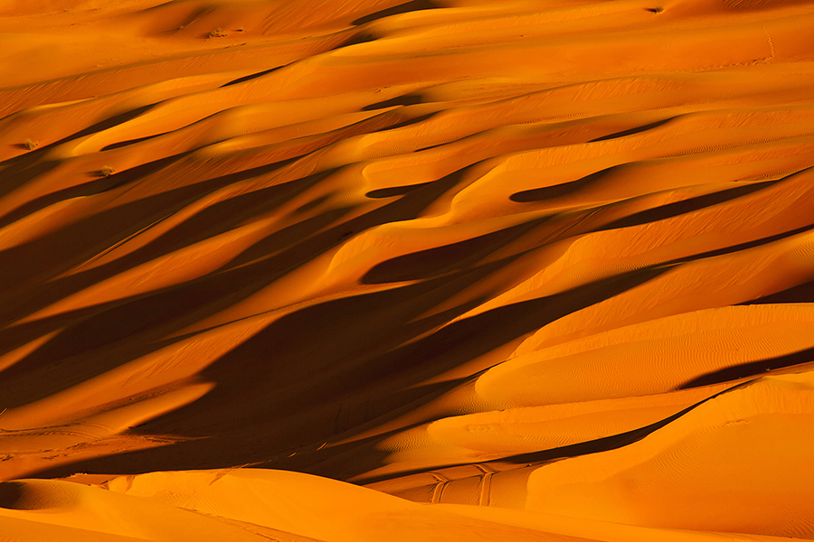 Desert Treasures