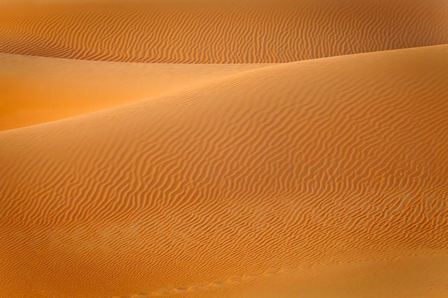 Desert Treasures