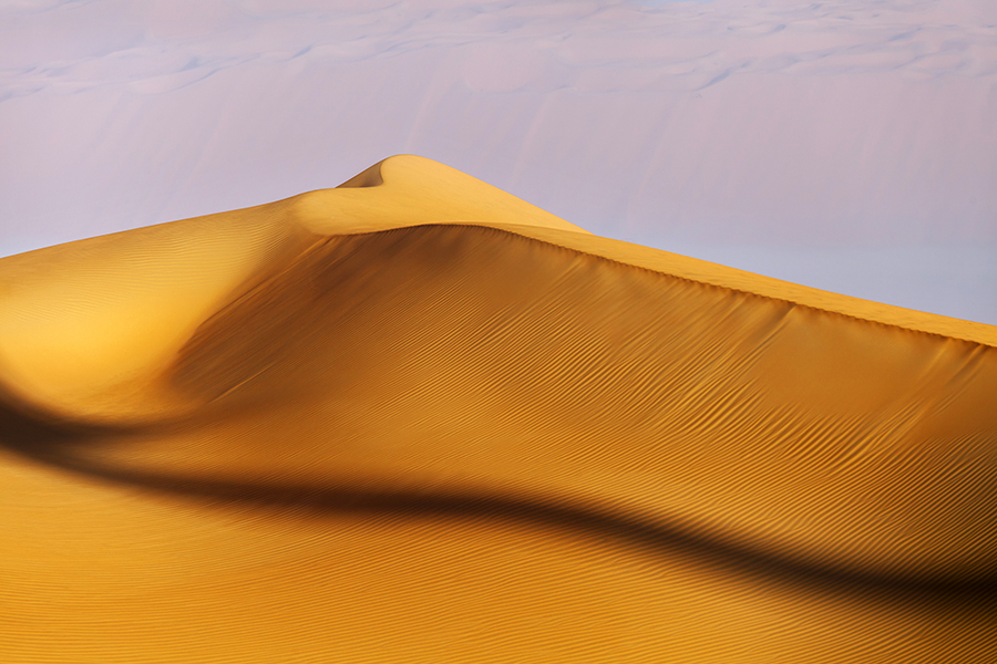 Desert Treasures