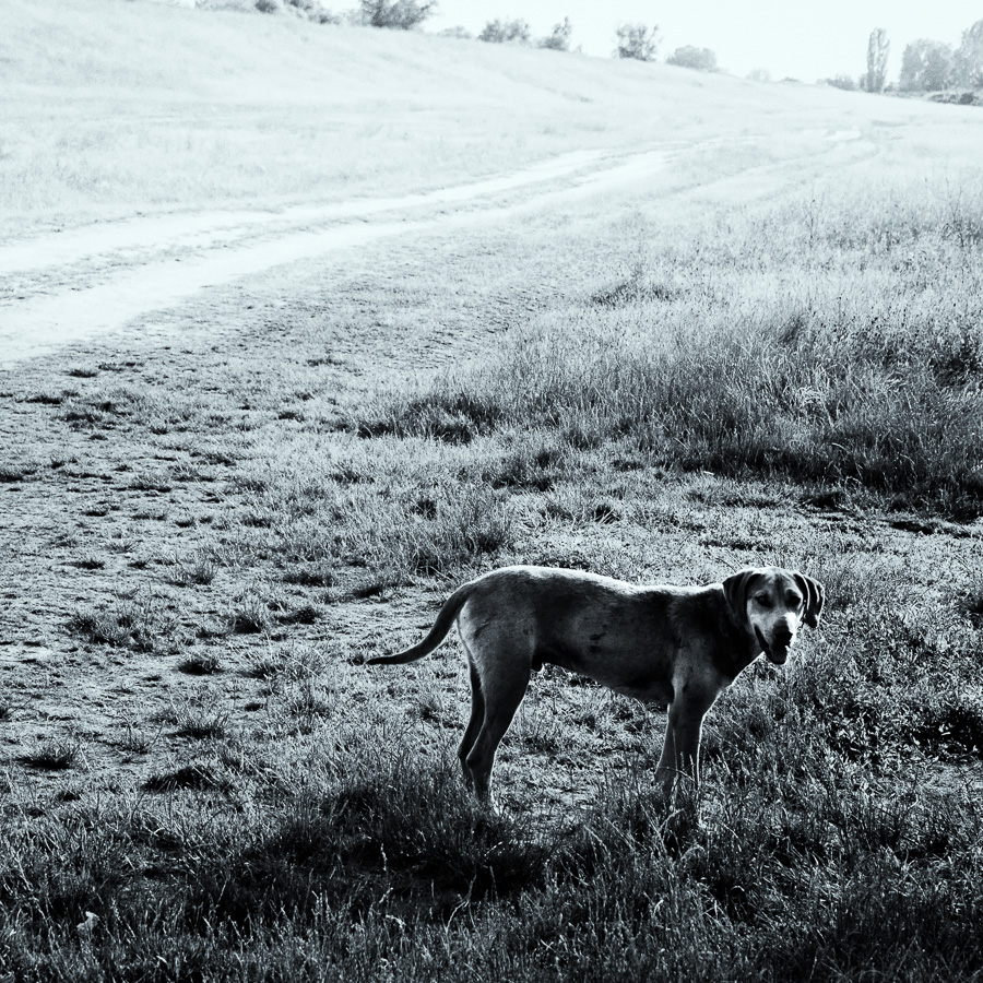 Journey through Serbia