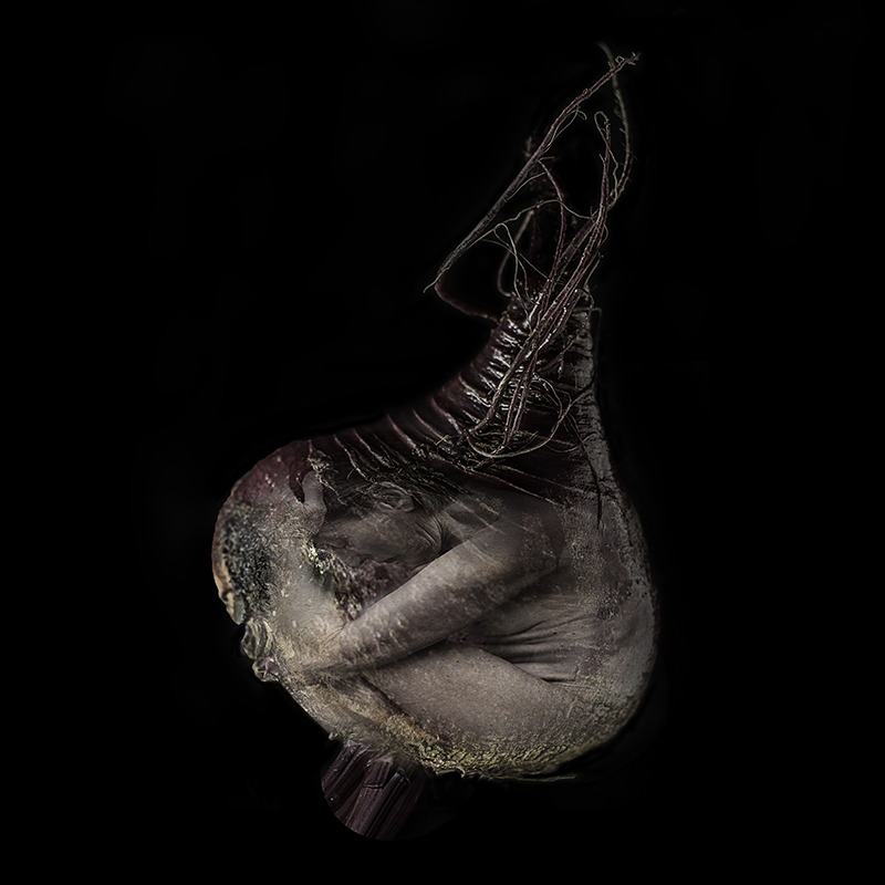Embryo