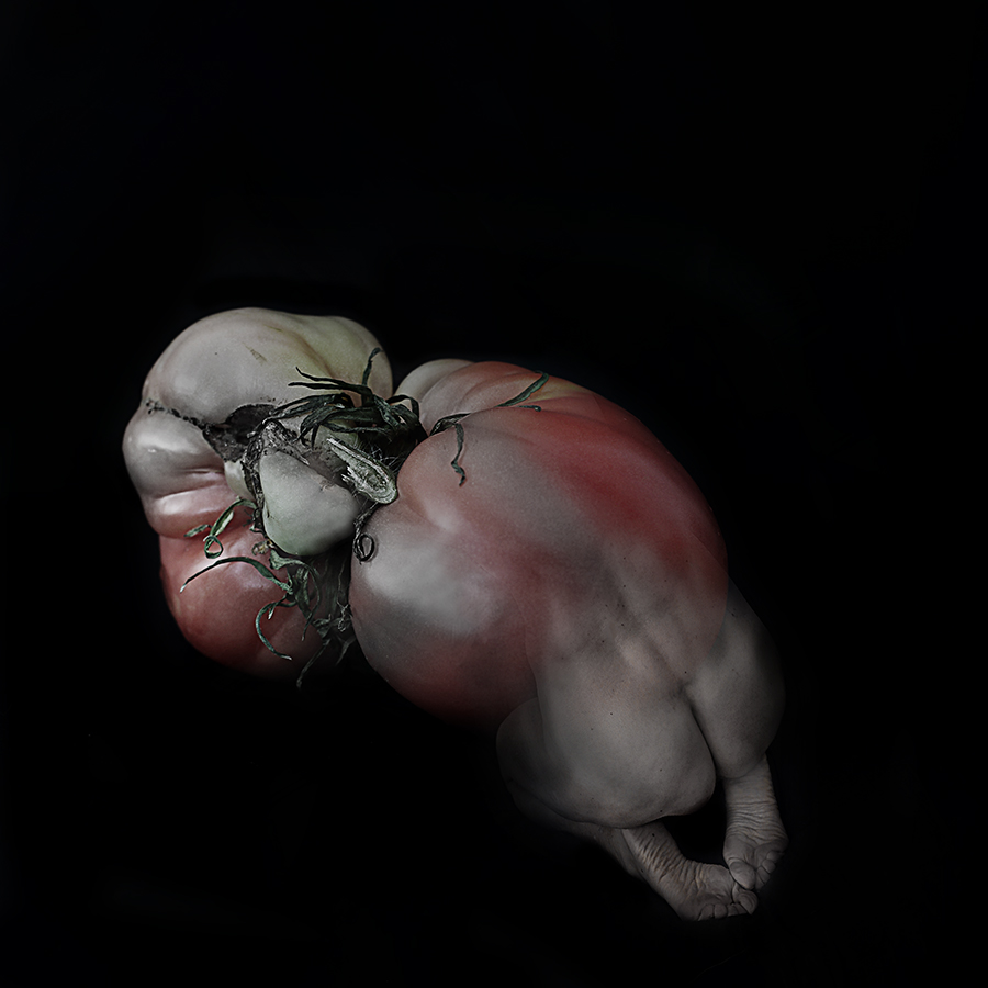 Embryo