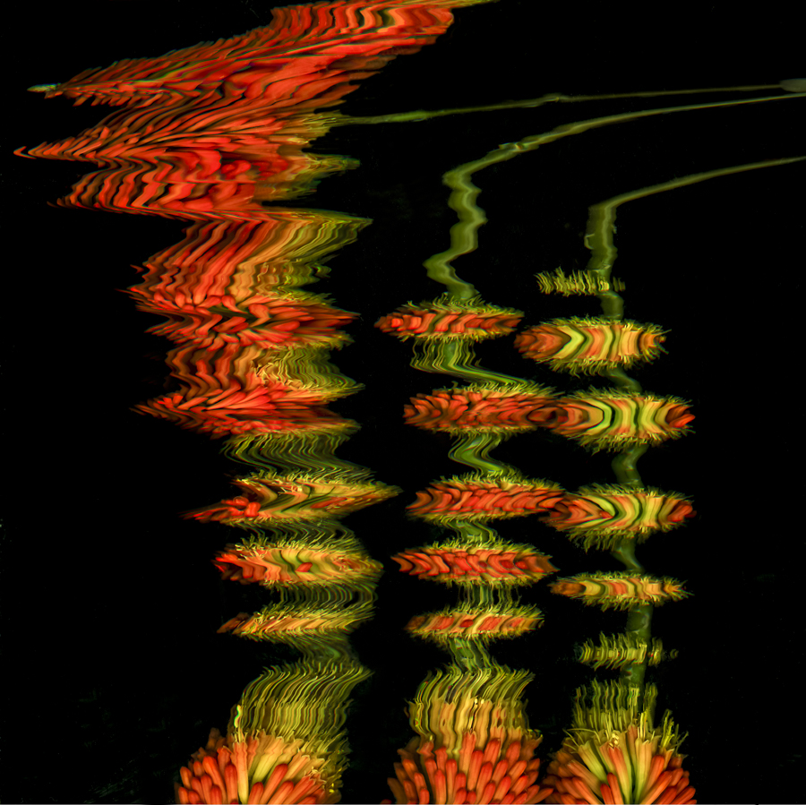 Dance of the Organic Creatures