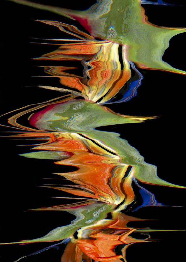 Dance of the Organic Creatures