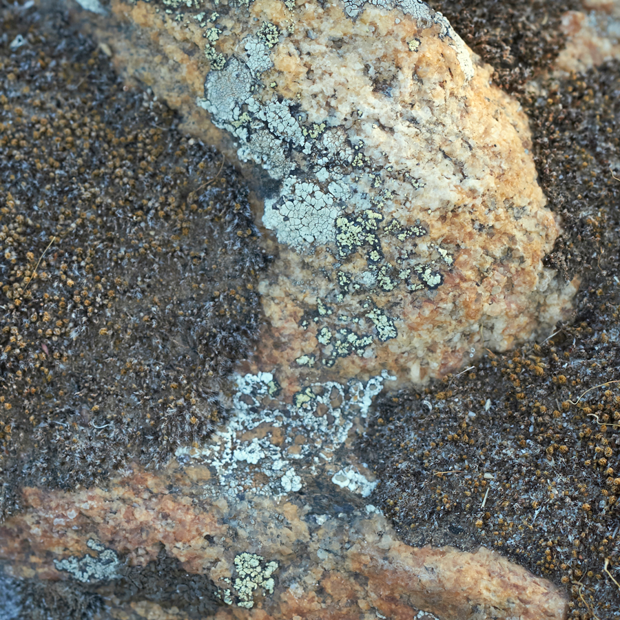 (untitled)