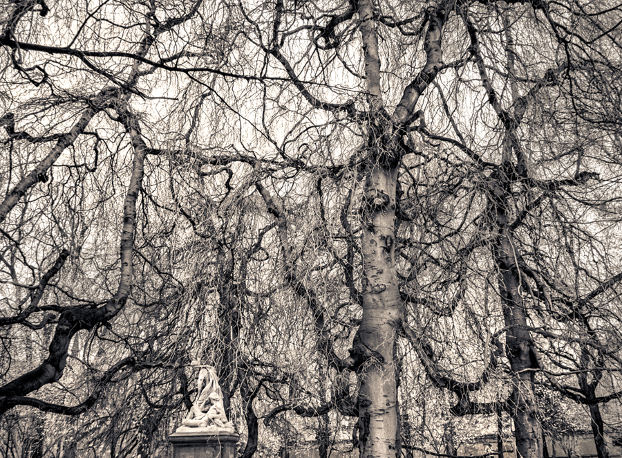 ARBORETUM OF THE IMAGINATION II