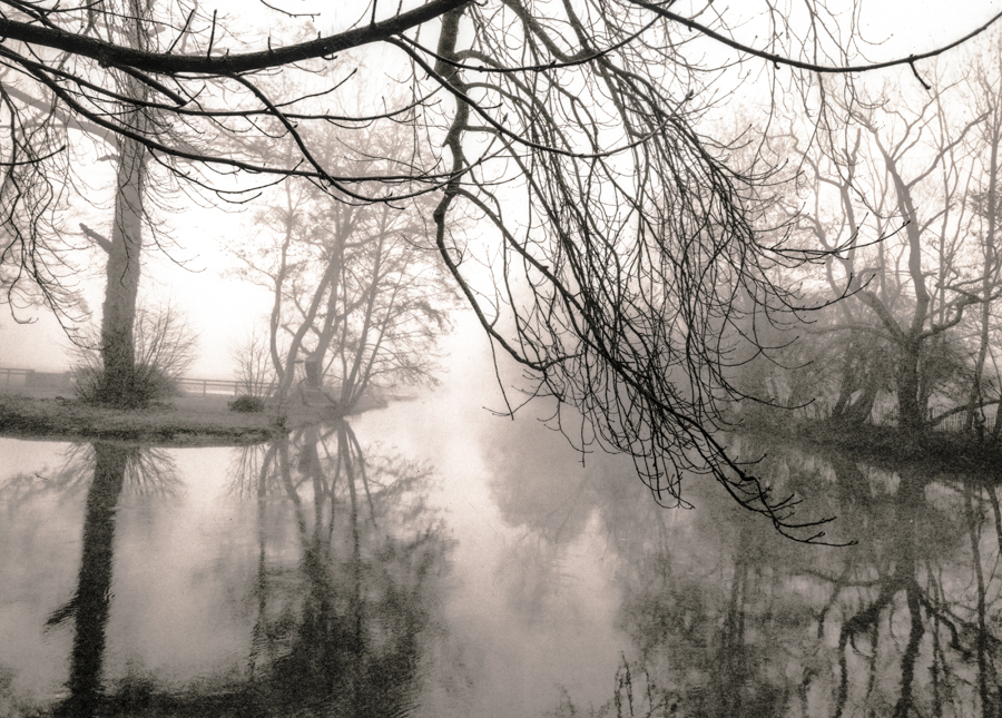 ARBORETUM OF THE IMAGINATION II