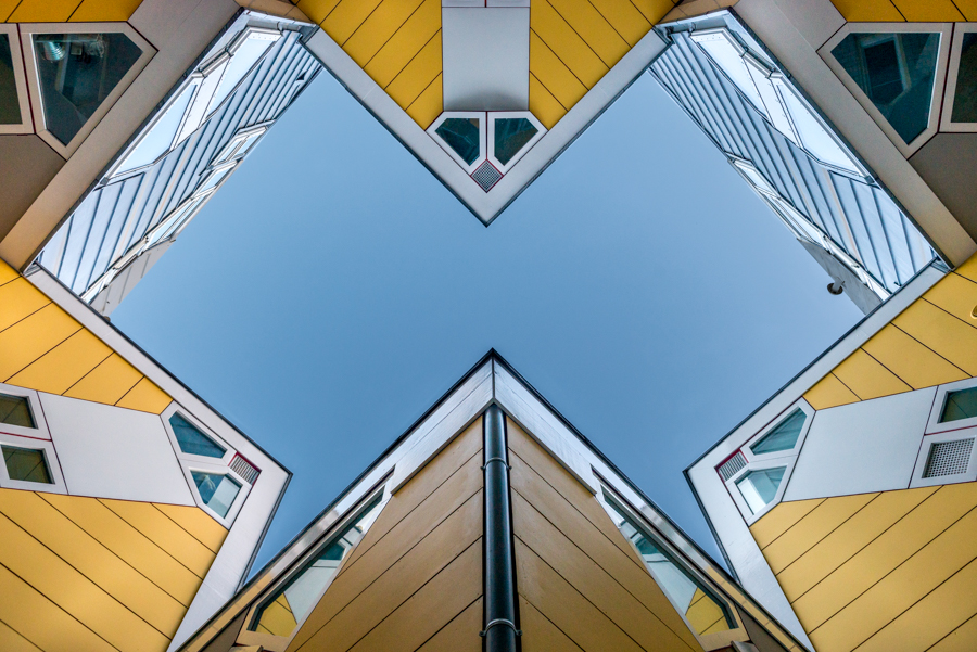 Geometridae