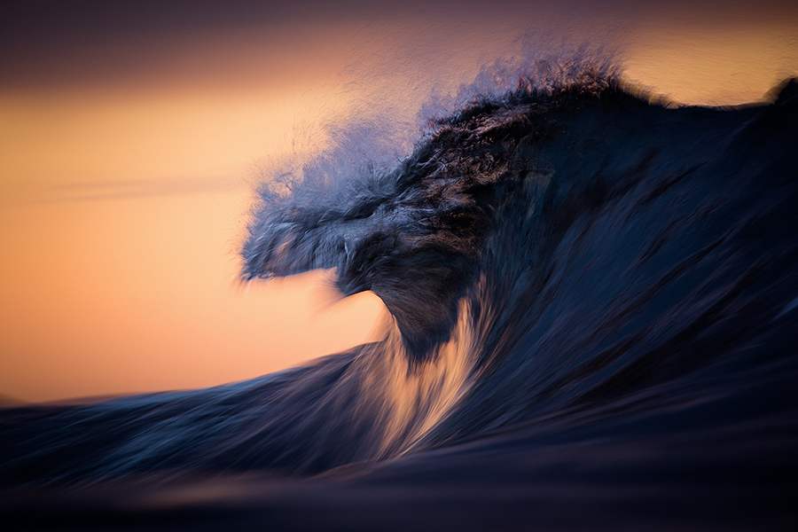 Firebird