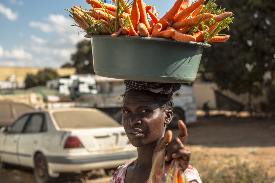 Colors of Africa 