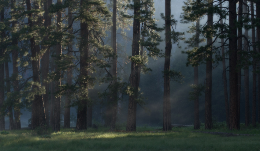 First Light At Yosemite National Park