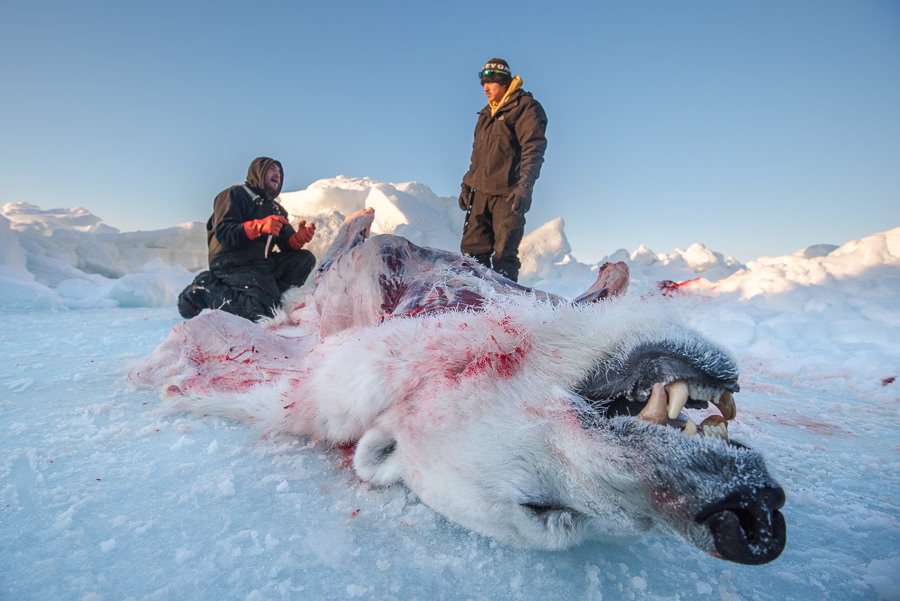 Iñupiat: People of the Whale