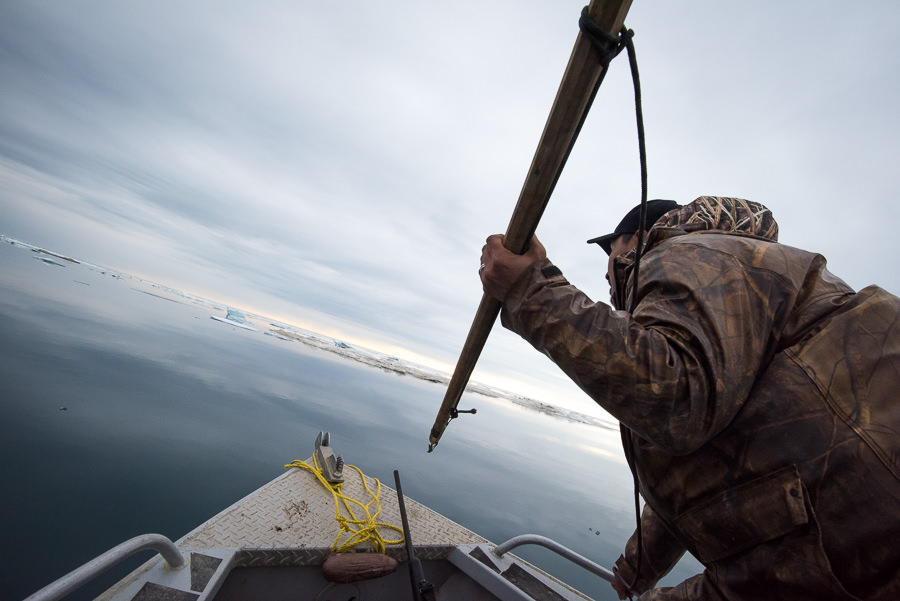 Iñupiat: People of the Whale