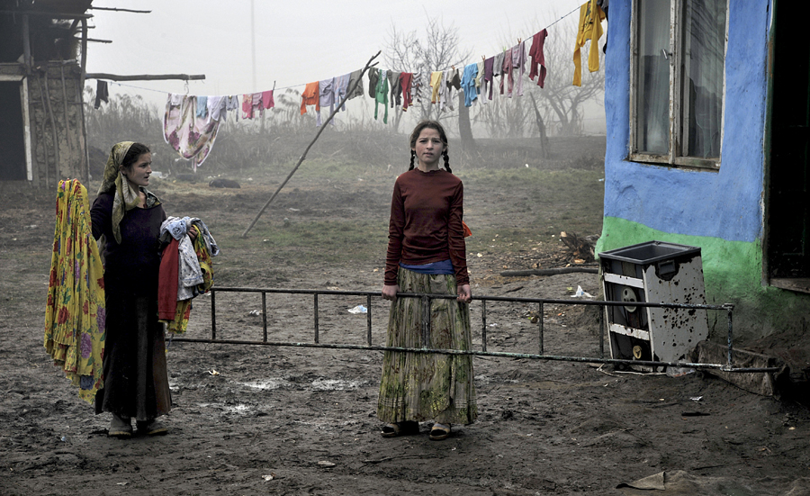 Life in the mud