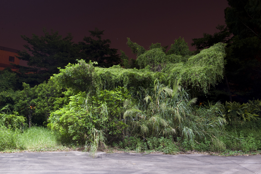 Achieving nonetheless, Guangzhou, 2013