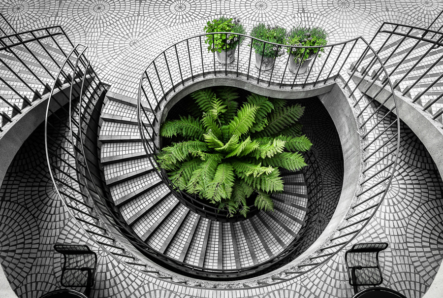Urban Flora
