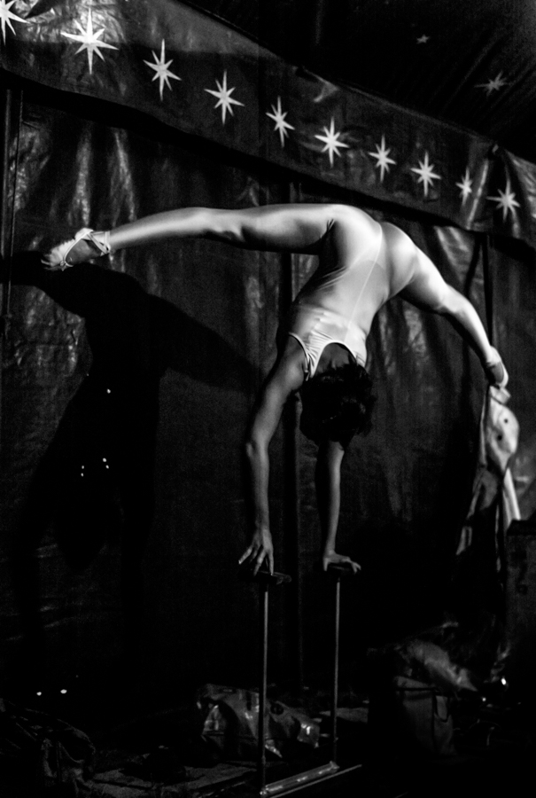 Under the Big Top