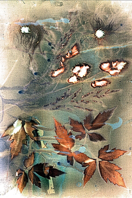 (untitled)